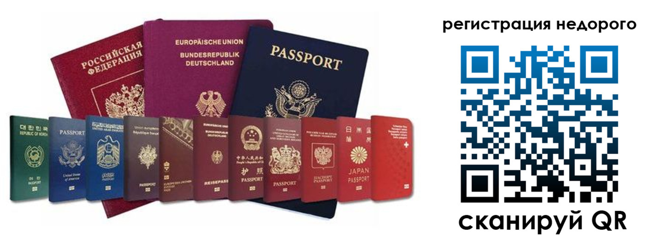 прописка гарантия в Борзе